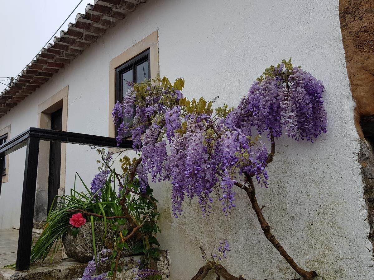Casa Dos Tios * Fátima
